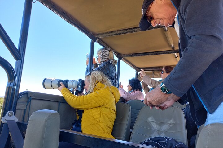 Addo Elephant Park Full day big 5 Safari