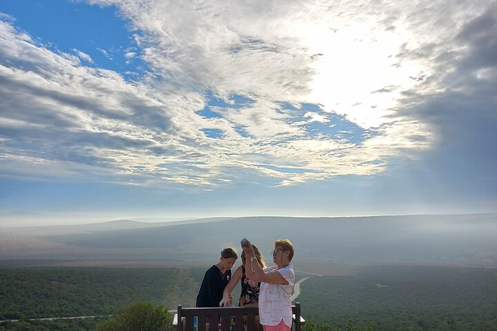 Addo Elephant Park Full day big 5 Safari