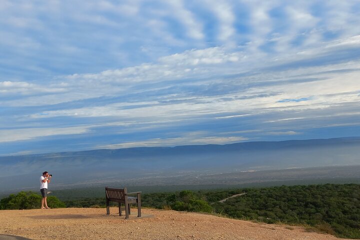 Addo Elephant Park Full day big 5 Safari
