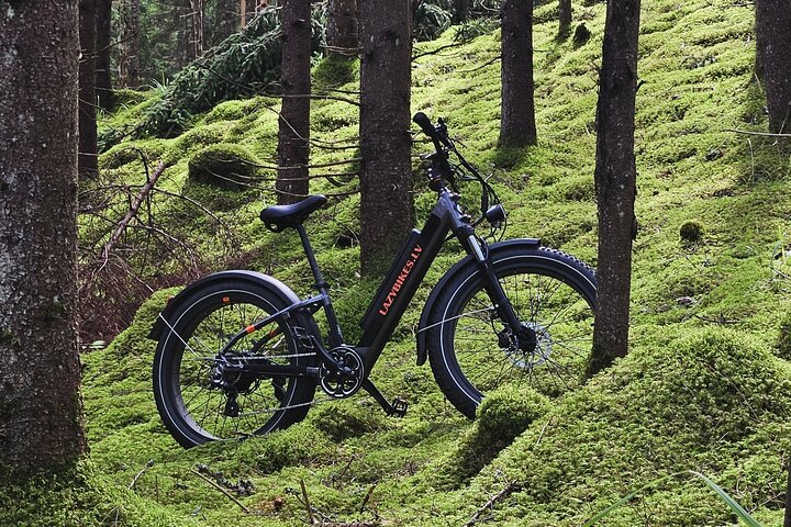 3-Hour Electric Fat Bike Rental