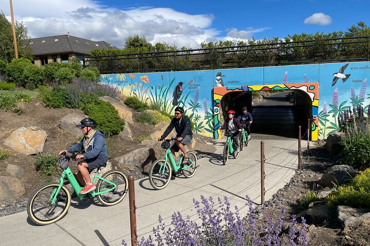"Ride the River" Guided E-Bike Tour of Bend