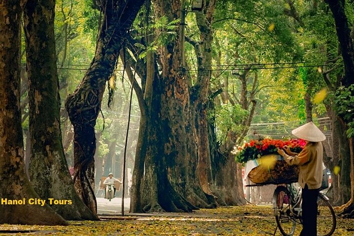 Hanoi City Tour: Private Half-Day Customized with Train Street
