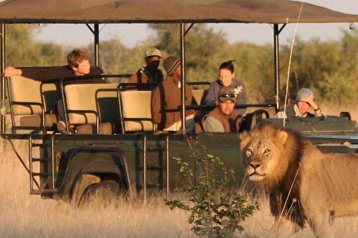Chobe Day Trip Safari from Livingstone