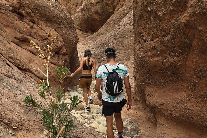 Dades Gorge-Monkey Finger's Canyon Hike in Boumalne Dades