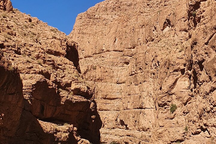 Roses Valley to Mgoune Valley Trek in kelaat magouna