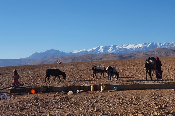 Hike & Overnight With Nomads Families