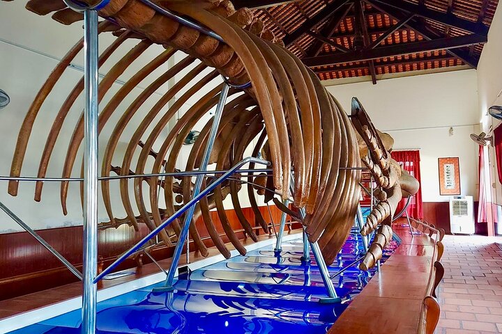 Mui Ne/Phan Thiet: Ta Cu Mountain with Cable Car & Lying Buddha