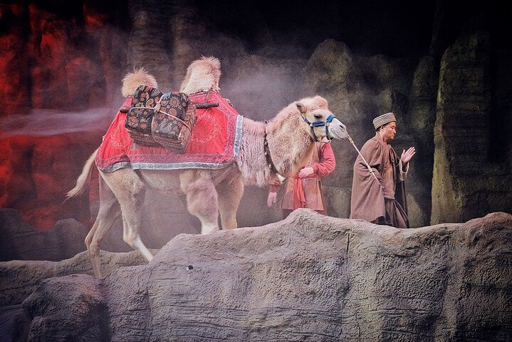 Silk Road Show:Legend of Camel Bell Includes Round-trip Transfers