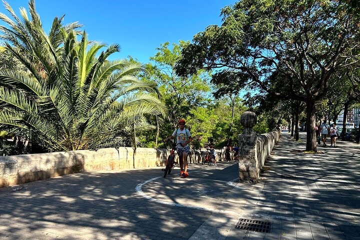 Valencia City Highlights in Guided Bike or E-Bike Tour