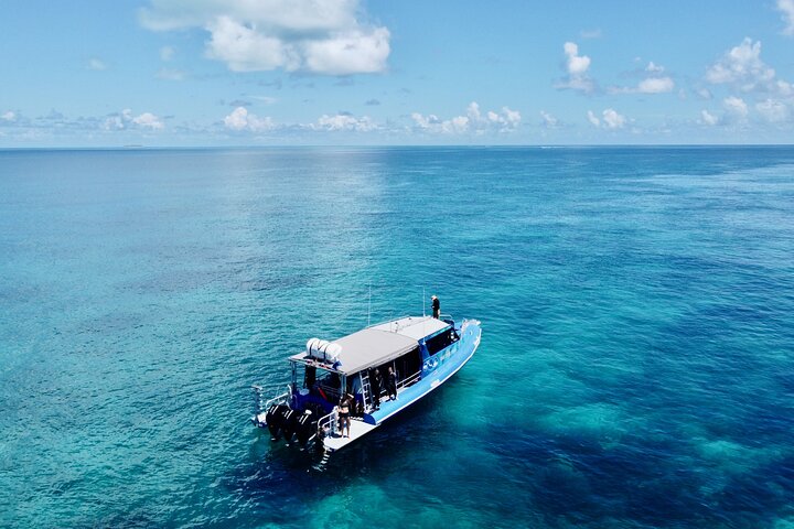 Outer Reef Scuba Diving Day Tour from Agnes Water 1770