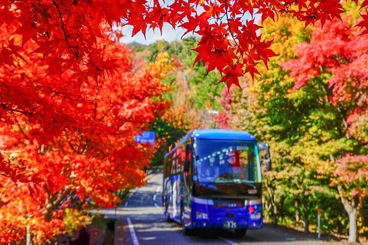 1 Day Shodoshima Island Bus Tour
