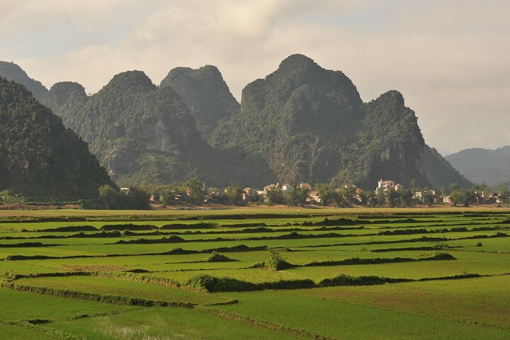Phong Nha National Park: Paradise cave & Phong Nha cave boat trip