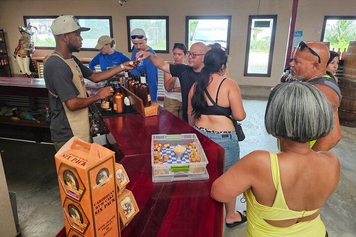 Roatan Jungle Top Zip Line, Wildlife Eco-Park and Snorkel