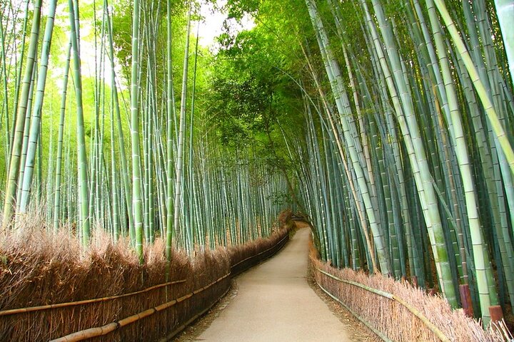 Full Day Tour of Kyoto with Private Transportation