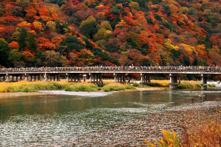 Full Day Tour of Kyoto with Private Transportation