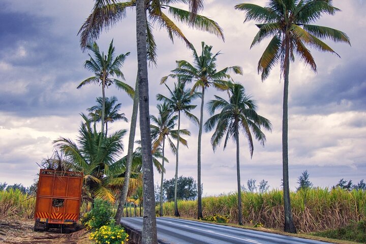 Wild South West Tour : SAFARI & TULAWAKA CASELA PARK & LE MORNE