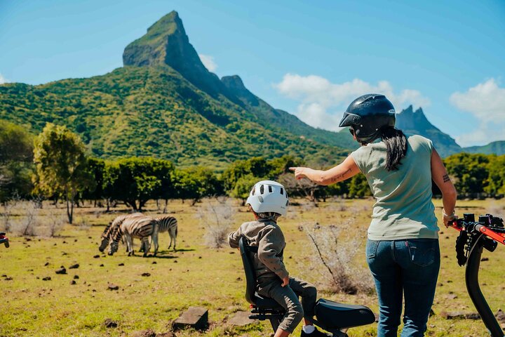 Wild South West Tour : SAFARI & TULAWAKA CASELA PARK & LE MORNE