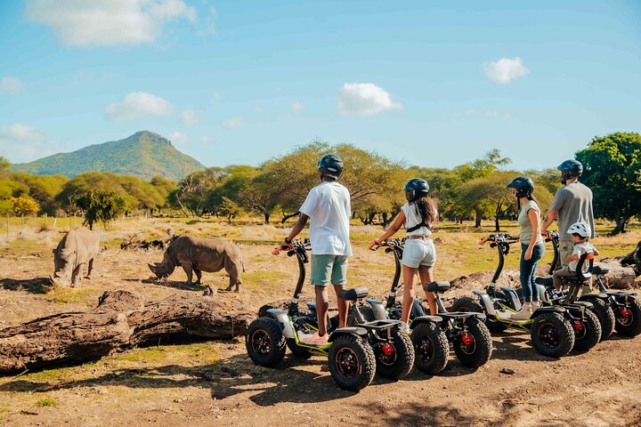 Wild South West Tour : SAFARI & TULAWAKA CASELA PARK & LE MORNE