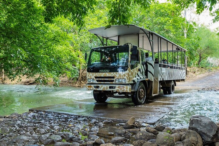 Wild South West Tour : SAFARI & TULAWAKA CASELA PARK & LE MORNE