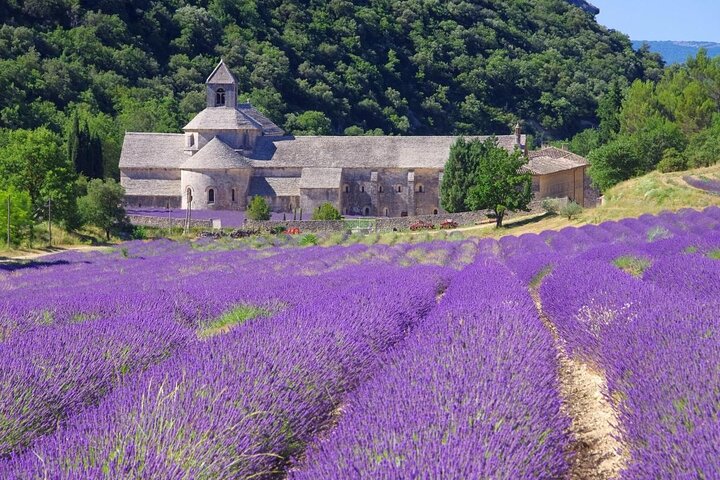 Highlights of Provence in One Day