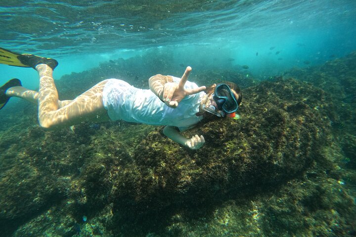 Private Snorkeling with turtles in Fujairah