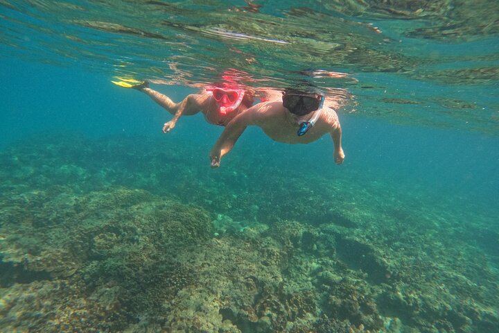 Private Snorkeling with turtles in Fujairah