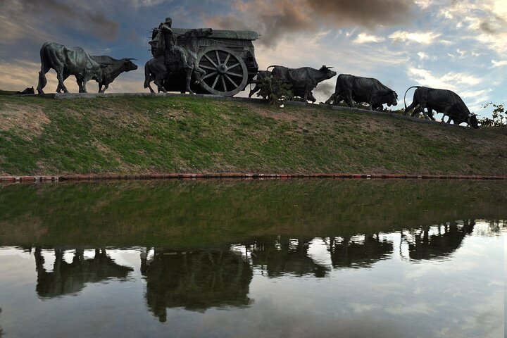 Montevideo Highlights: Shared City Tour for Cruise Passengers