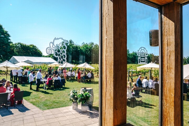 Tour and Tasting Experience