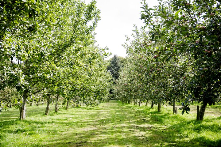 Tour and Tasting Experience
