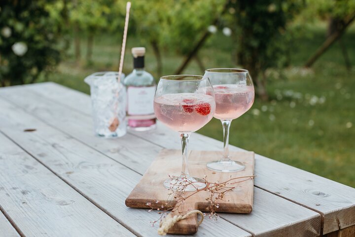 Tour and Tasting Experience
