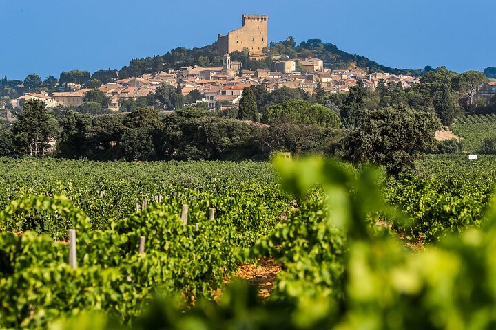 Wine Tasting Tour at Châteauneuf du Pape