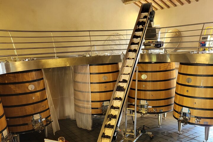 Wine Tasting Tour at Châteauneuf du Pape