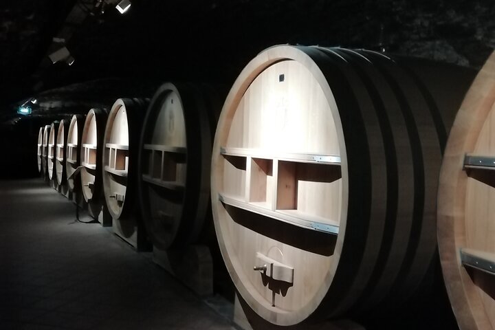 Wine Tasting Tour at Châteauneuf du Pape