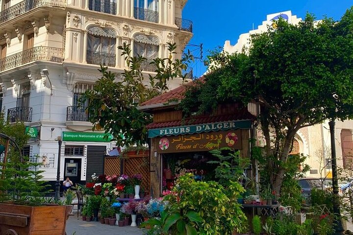 Discover Algiers on a Private Tour – Casbah, downtown and more