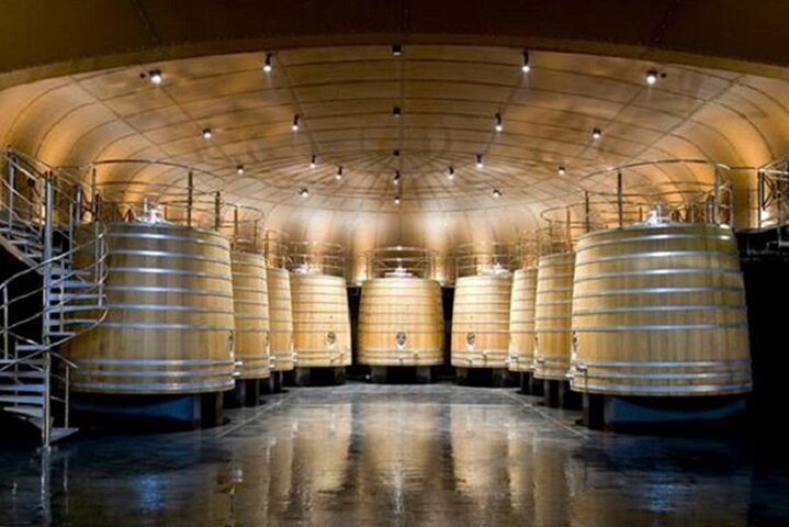 Guided tour of Sonsierra country basket and Wine Museum