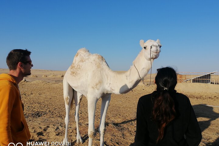 2 Days in the Desert on Camel Back