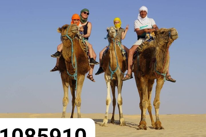 2 Days in the Desert on Camel Back