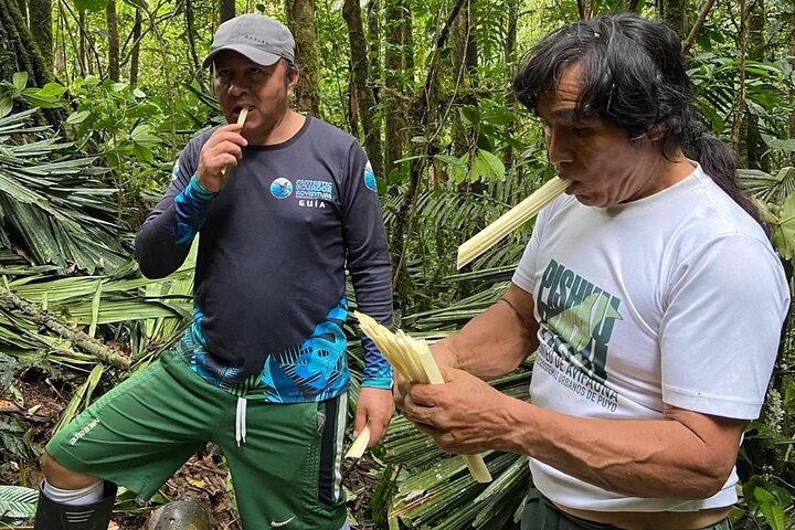 3 Days Chuahurco Rainforest Jungle - 5 Waterfalls - 3 Ethnic Community