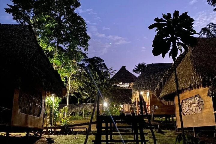 Yasuni Tours - 4 Days 3 Nights - From Puyo, Pastaza - Ecuador