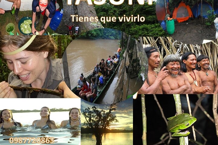 Yasuni Tours - 4 Days 3 Nights - From Puyo, Pastaza - Ecuador