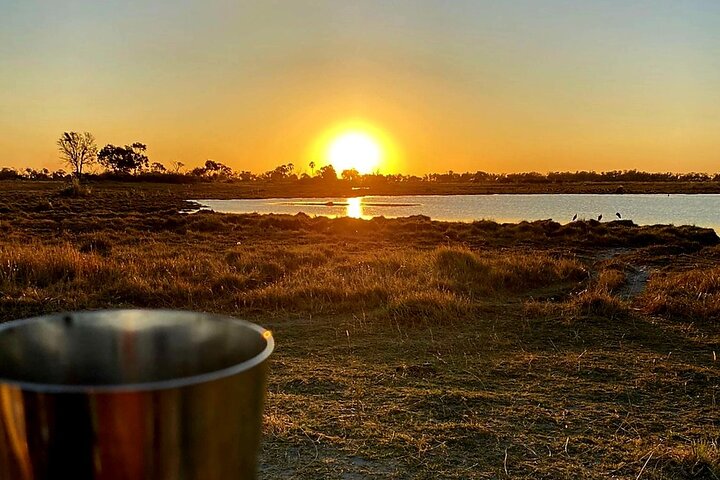 Okavango Delta Day Trip