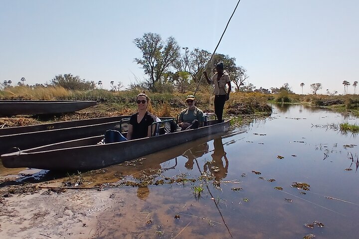Okavango Delta Day Trip
