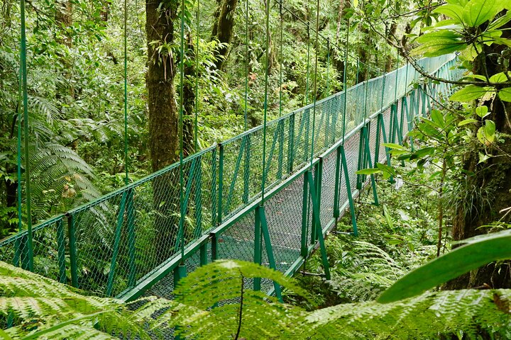 Selvatura Park Gold Package (Canopy & Hanging Bridges)