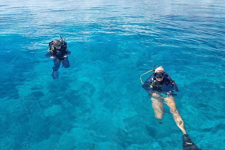 Outer Reef Scuba Diving Day Tour from Agnes Water 1770