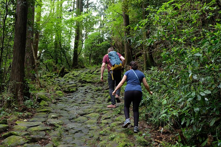 Hike Japan Heritage Hakone Hachiri (Half Day)