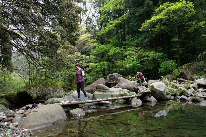 Hike Japan Heritage Hakone Hachiri (Half Day)