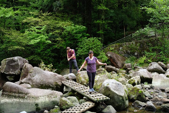 Hike Japan Heritage Hakone Hachiri (Half Day)