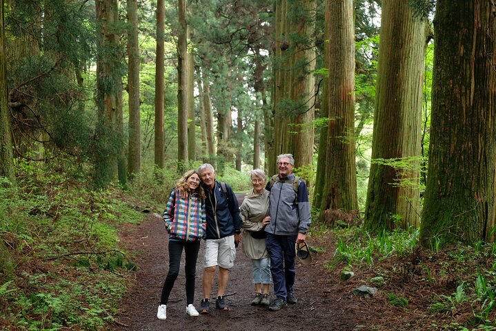 Hike Japan Heritage Hakone Hachiri (Half Day)