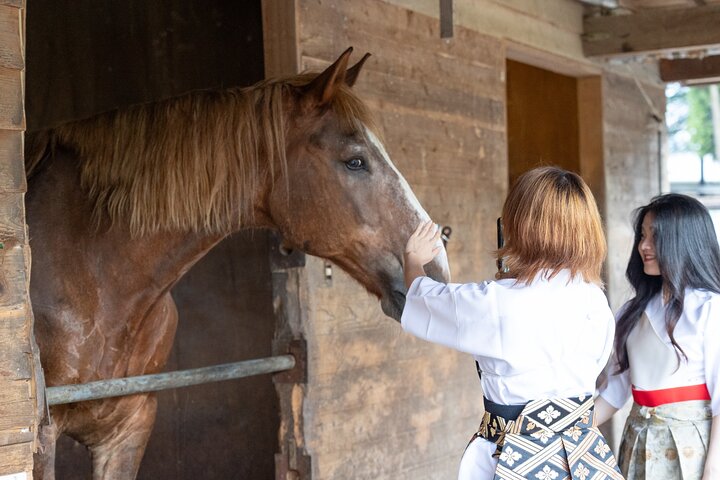 Private Horse Interaction Experience near Mt. Fuji