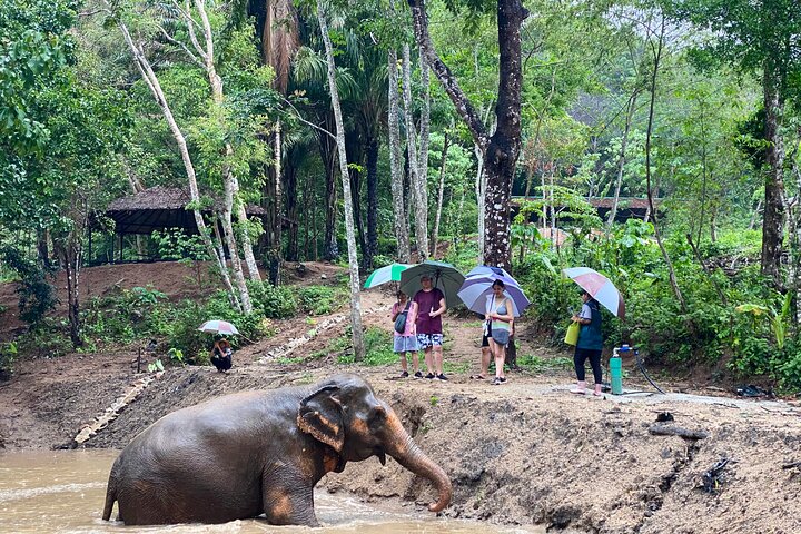 Phuket Elephant Nature Reserve Ethical Sanctuary